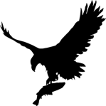 eagle-3685419__340