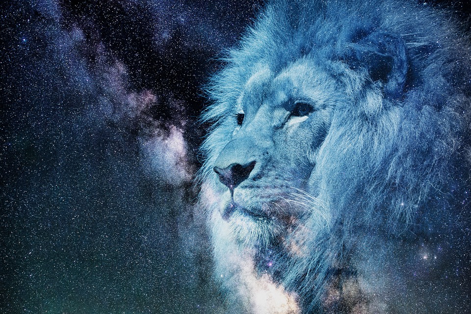 leo-2400168_960_720