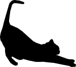 stretching-2747269_960_720